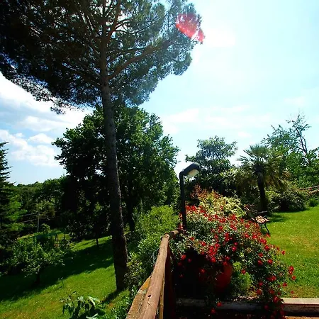 Il Ciliegio *