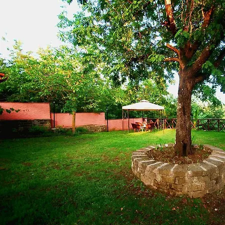 Bed & Breakfast Il Ciliegio Manziana