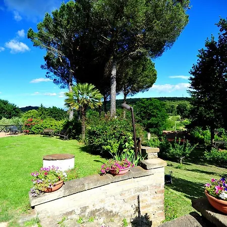 Bed & Breakfast Il Ciliegio Manziana