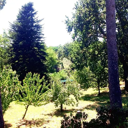 Bed & Breakfast Il Ciliegio Manziana